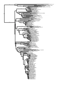Figs1 ML Tree.Pdf
