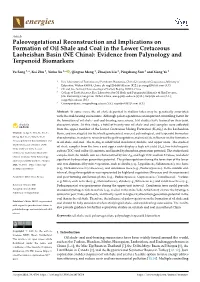 Paleovegetational Reconstruction and Implications on Formation