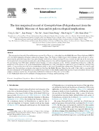 The First Megafossil Record of Goniophlebium (Polypodiaceae