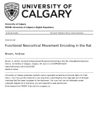 Functional Neocortical Movement Encoding in the Rat