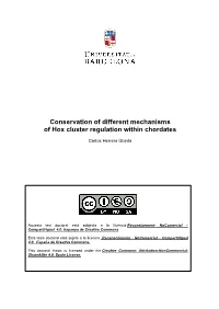 Conservation of Different Mechanisms of Hox Cluster Regulation Within Chordates
