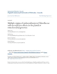 Multiple Origins of Endosymbionts in Chlorellaceae with No Reductive