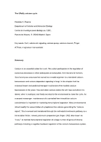 The Crazy Calcium Cycle. Eduardo A. Espeso Department of Cellular And