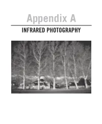 Infrared Photography (PDF)