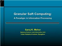 Granular Soft Computing: a Paradigm in Information Processing