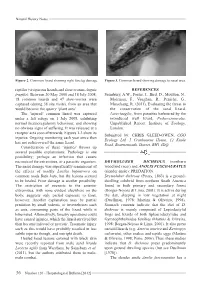 Reptiles (Viviparous Lizards and Slow-Worms Anguis REFERENCES Fragilis)