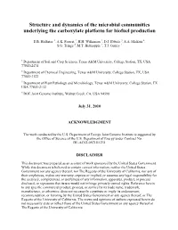 Structure and Dynamics of the Microbial Communities Underlying the Carboxylate Platform for Biofuel Production