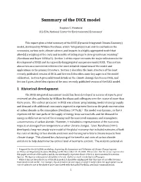 Summary of the DICE Model