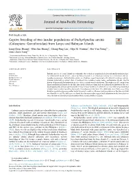 Captive Breeding of Two Insular Populations of Pachyrhynchus Sarcitis