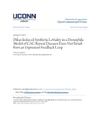 Dikar-Induced Synthetic Lethality in a Drosophila Model of CAG Repeat