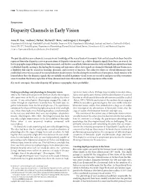 Disparity Channels in Early Vision