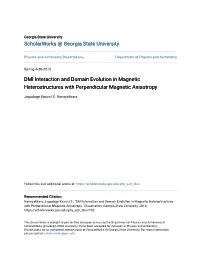 DMI Interaction and Domain Evolution in Magnetic Heterostructures with Perpendicular Magnetic Anisotropy