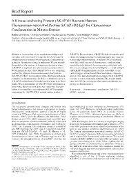 (Hcap)-D2/Eg7 for Chromosome Condensation in Mitotic Extract