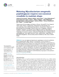 Maturing Mycobacterium Smegmatis Peptidoglycan Requires Non