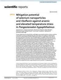 Mitigation Potential of Selenium Nanoparticles and Riboflavin Against