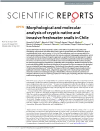 Morphological and Molecular Analysis of Cryptic Native and Invasive Freshwater Snails in Chile Received: 20 August 2018 Gonzalo A