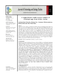 A Comprehensive Study on Pest Complex of Flemingia Spp. from Jorhat, Assam