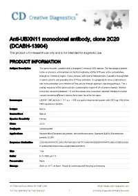 Anti-UBXN11 Monoclonal Antibody, Clone 2C20 (DCABH-13904) This Product Is for Research Use Only and Is Not Intended for Diagnostic Use