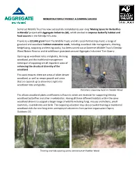 MENDIP BUTTERFLY PROJECT a SOARING SUCCESS Somerset Wildlife Trust Has Now Successfully Completed Its Year-Long 'Making Space