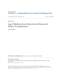 Lag-3 Mediates Acute Rejection & Memory in Mouse Transplantation