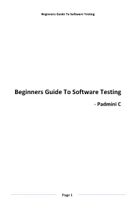 Beginners Guide to Software Testing