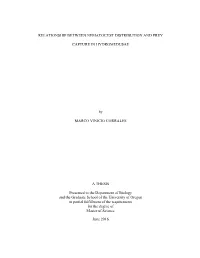 Title of Thesis Or Dissertation, Worded