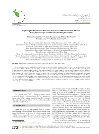 Exploring the Interactions Between Caffeic Acid and Human Serum Albumin Using Spectroscopic and Molecular Docking Techniques