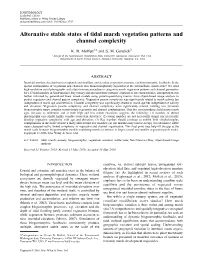 Alternative Stable States of Tidal Marsh Vegetation Patterns and Channel Complexity