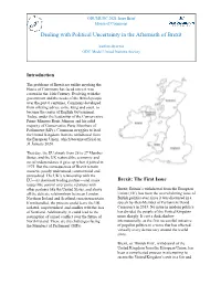 Dealing with Political Uncertainty in the Aftermath of Brexit