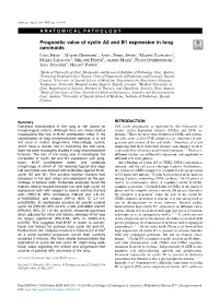 Prognostic Value of Cyclin A2 and B1 Expression in Lung Carcinoids