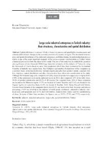 Large Scale Industrial Enterprises in Turkish Industry: Their Structures, Characteristics and Spatial Distribution