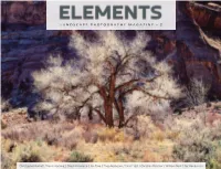 Elements April 2021