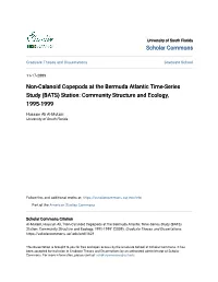 Non-Calanoid Copepods at the Bermuda Atlantic Time-Series Study (BATS) Station: Community Structure and Ecology, 1995-1999