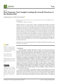 Root Tropisms: New Insights Leading the Growth Direction of the Hidden Half