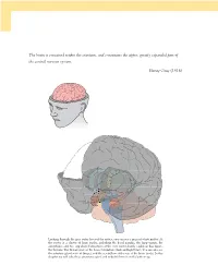 The Brain Is Contained Within the Cranium, and Constitutes the Upper, Greatly Expanded Part of the Central Nervous System