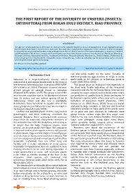 The First Report of the Diversity of Ensifera (Insecta: Orthoptera) from Rokan Hulu District, Riau Province