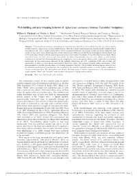 Web Building and Prey Wrapping Behavior of Aglaoctenus Castaneus (Araneae: Lycosidae: Sosippinae)