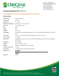 Cvhsp (HSPB7) Mouse Monoclonal Antibody [Clone ID: OTI1D11] Product Data