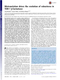 Mistranslation Drives the Evolution of Robustness in TEM-1 Β-Lactamase