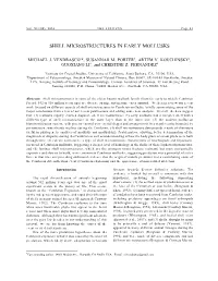 Shell Microstructures in Early Mollusks