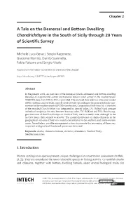 A Tale on the Demersal and Bottom Dwelling Chondrichthyes in the South of Sicily
