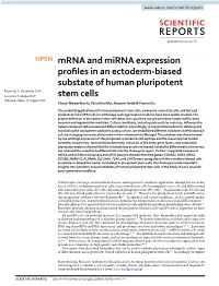 Mrna and Mirna Expression Profiles in an Ectoderm-Biased Substate Of