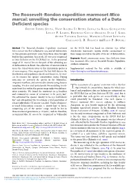 The Roosevelt–Rondon Expedition Marmoset Mico Marcai: Unveiling the Conservation Status of a Data Deficient Species