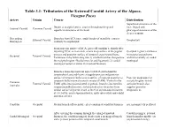 Tributaries of the External Carotid Artery of the Alpaca, Vicugna Pacos