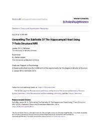 Unravelling the Subfields of the Hippocampal Head Using 7-Tesla Structural MRI