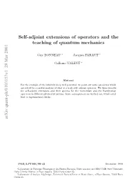 Self-Adjoint Extensions of Operators and the Teaching of Quantum