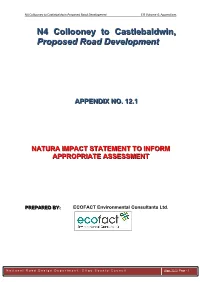 N4 Collooney to Castlebaldwin, Proposed Road Development