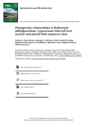 Phylogenetic Relationships in Bulbostylis (Abildgaardieae: Cyperaceae) Inferred from Nuclear and Plastid DNA Sequence Data