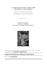 Pteridophyta and Spermatophyta)