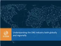 Understanding the DNS Industry Both Globally and Regionally the Beginning